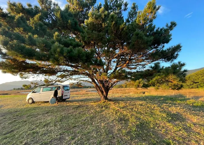 Apartamento Playa De 2