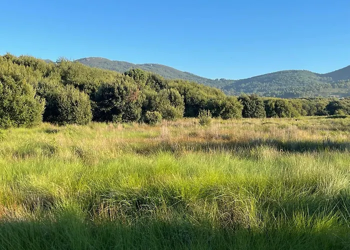 Playa De 2 Апартаменты Карнота